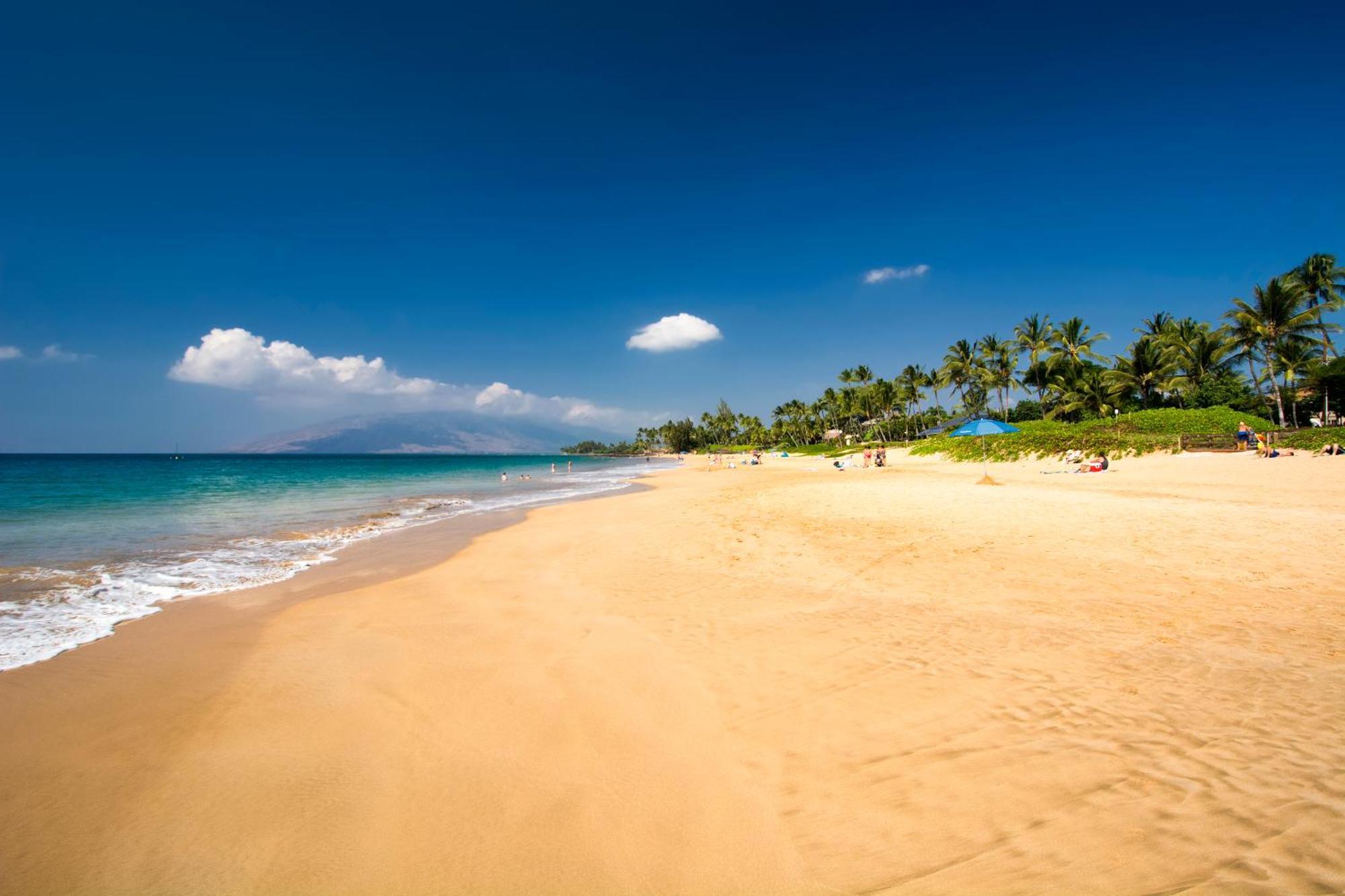 Ocean View Unit At Kihei Alii Kai Close To Beach Dış mekan fotoğraf