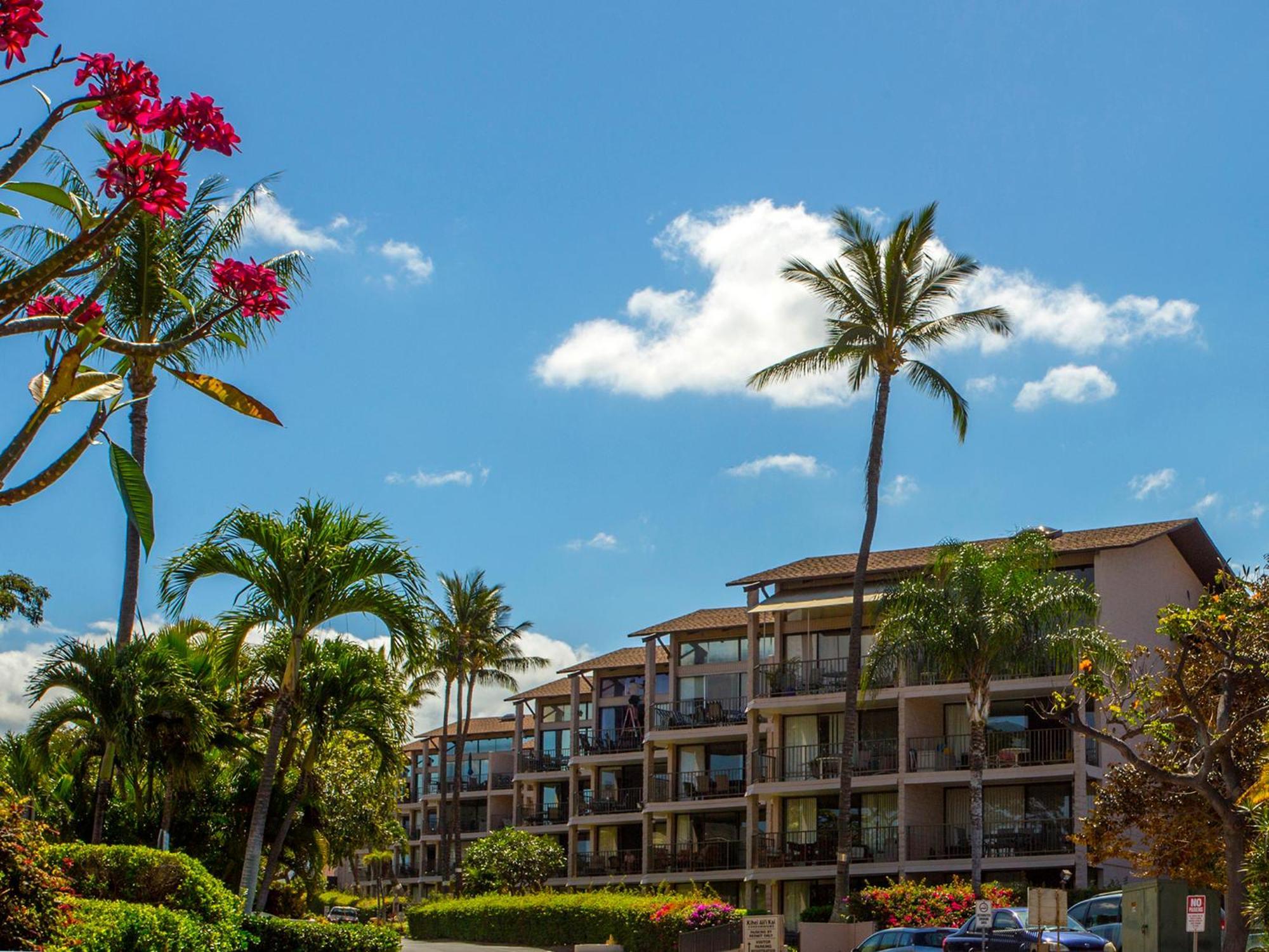 Ocean View Unit At Kihei Alii Kai Close To Beach Dış mekan fotoğraf